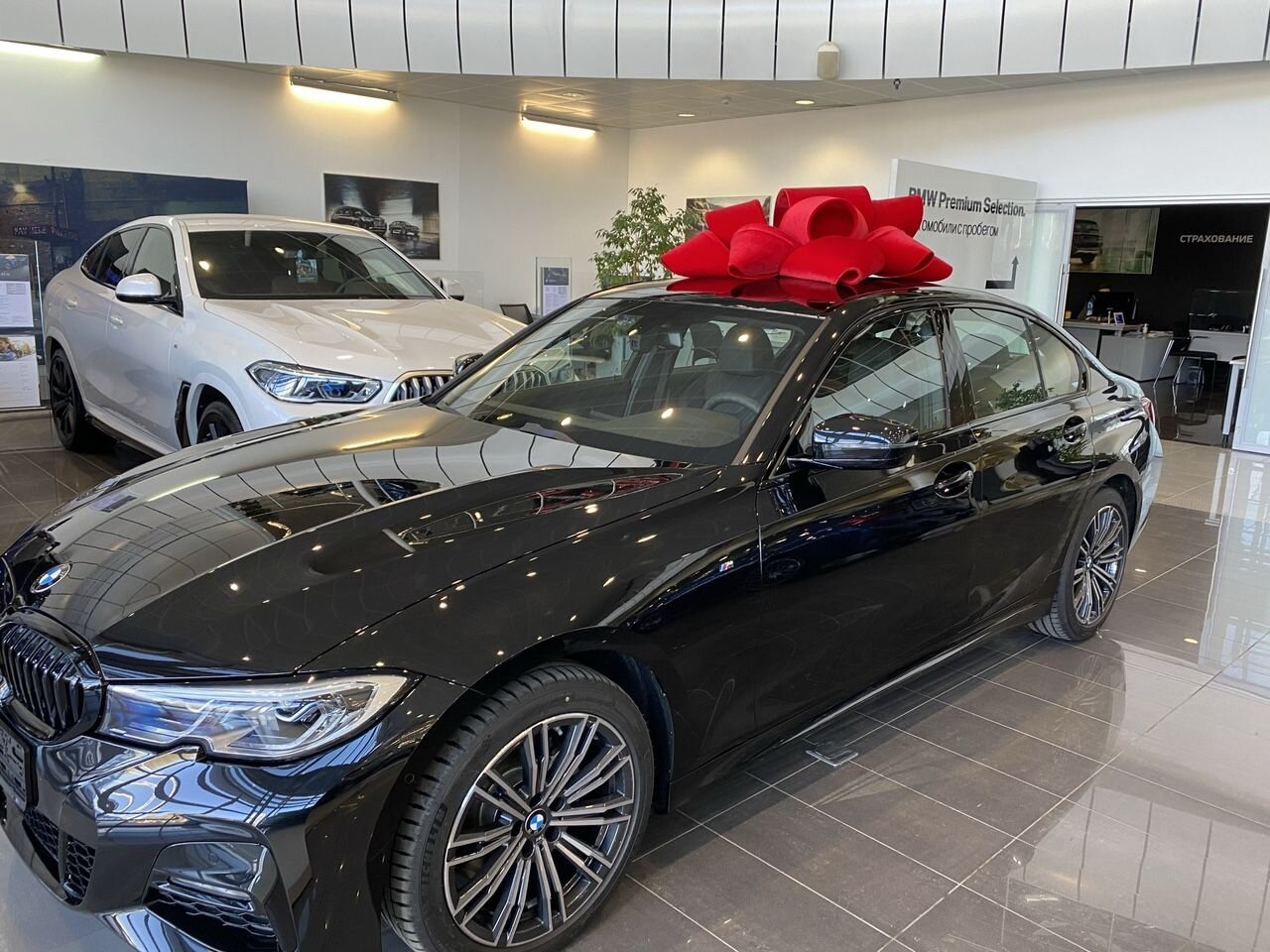 BMW 3 серия: фото владельца