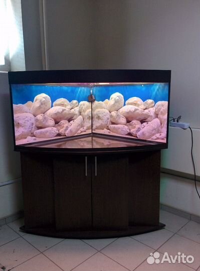 Аквариум 500 угловой полукруглый, биофильтр, тумб