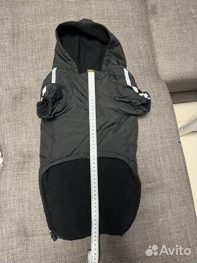 Одежда для собак