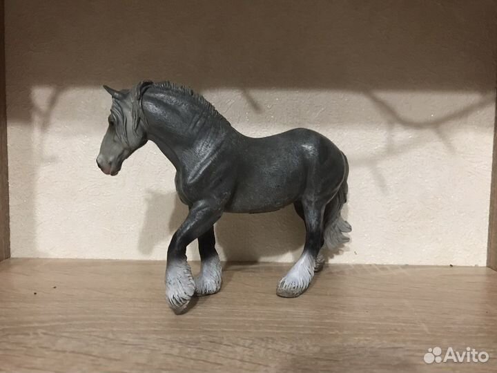 Лошади collecta