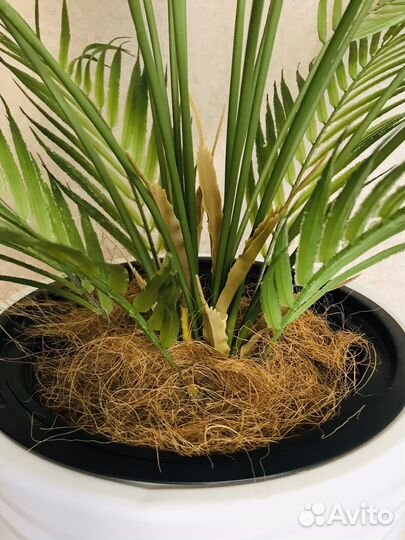 Пальма искусственная финиковая в кашпо Икеа