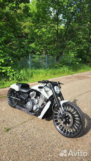Harley-davidson v-rod