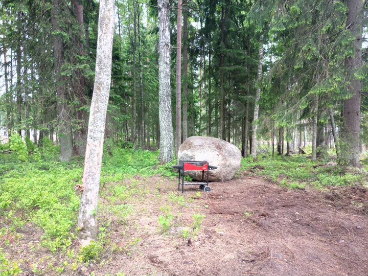 Дом 30 м² на участке 12,5 сот.