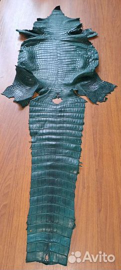 Шкура Крокодила