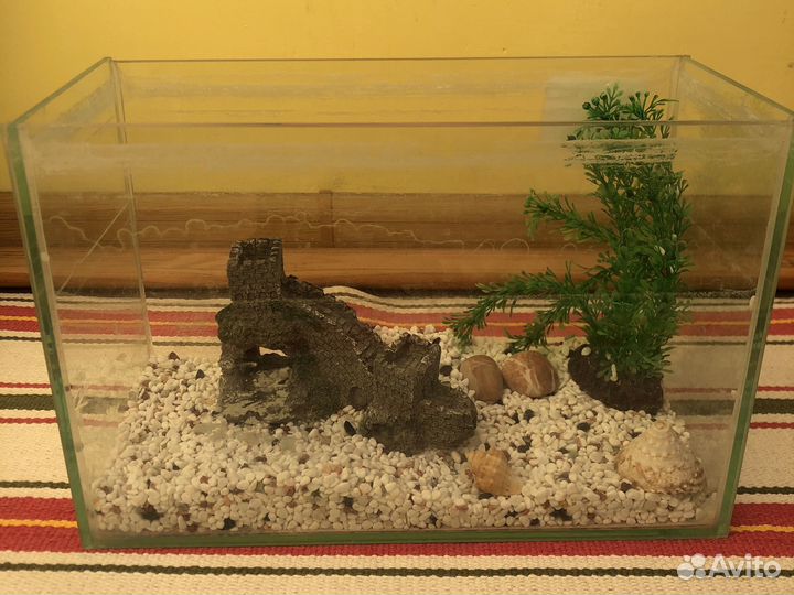 Аквариум