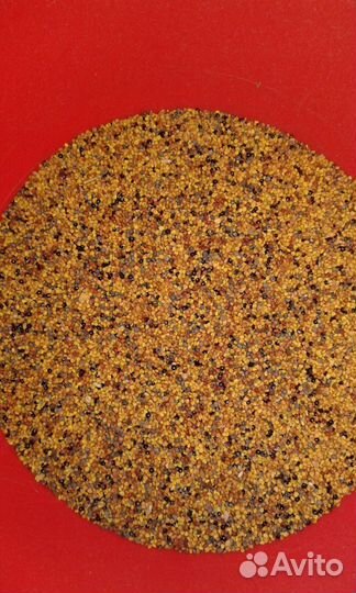 Газонная Трава, горчица, Вика, Люцерна, Рожь, Овес