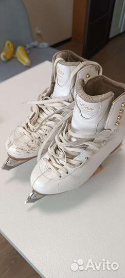 Фигурные коньки jackson 28, 250