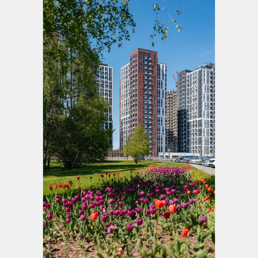 3-к. квартира, 61,9 м², 11/11 эт.