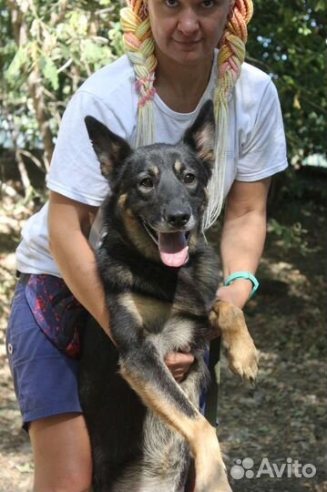 Тоскует без родителей в приюте