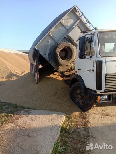 МАЗ 5516А8-336, 2004