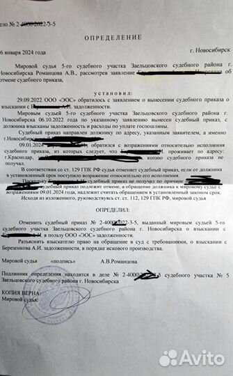 Отмена судебного приказа и снятие запретов