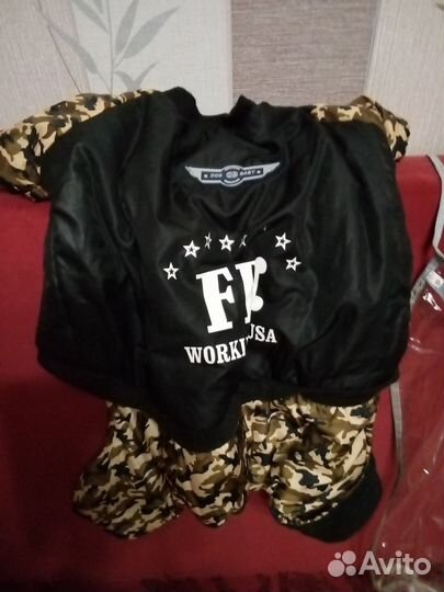 Одежда для средних собак