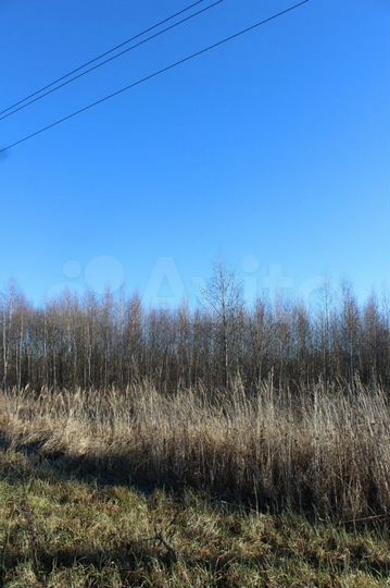 Участок 10 сот. (СНТ, ДНП)