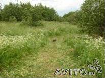 Участок 78 сот. (СНТ, ДНП)