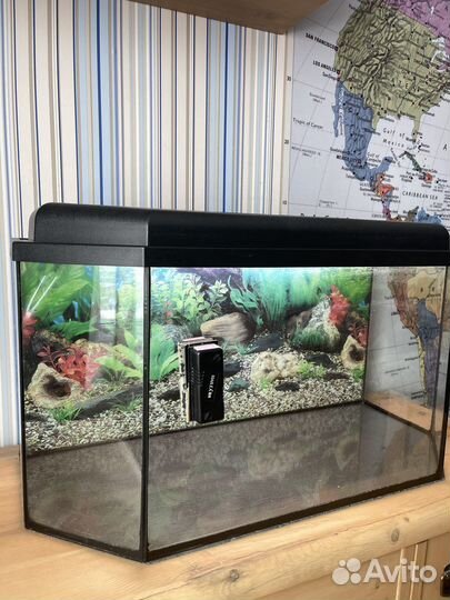 Аквариум на 100 литров с аксессуарами