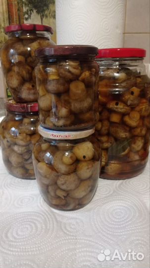 Грибы маринованные