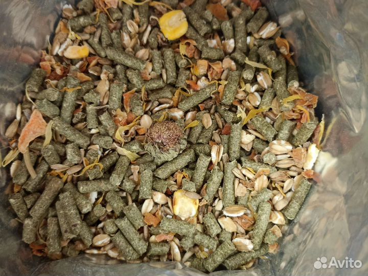 Корм для морских свинок