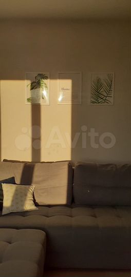 Квартира-студия, 26,5 м², 16/24 эт.