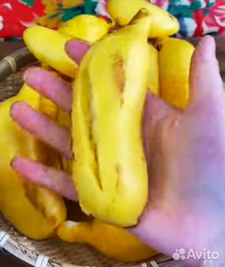 Цветные булочки на пару / паровой хлеб