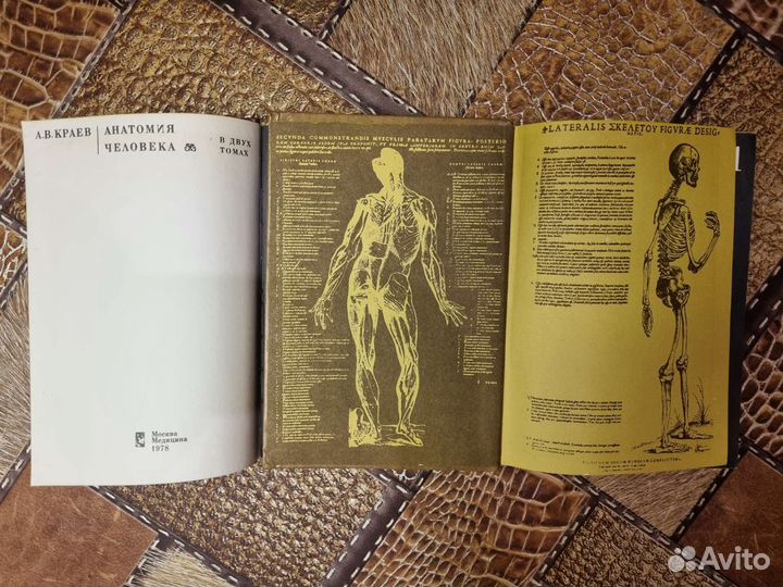 Атлас анатомия человека