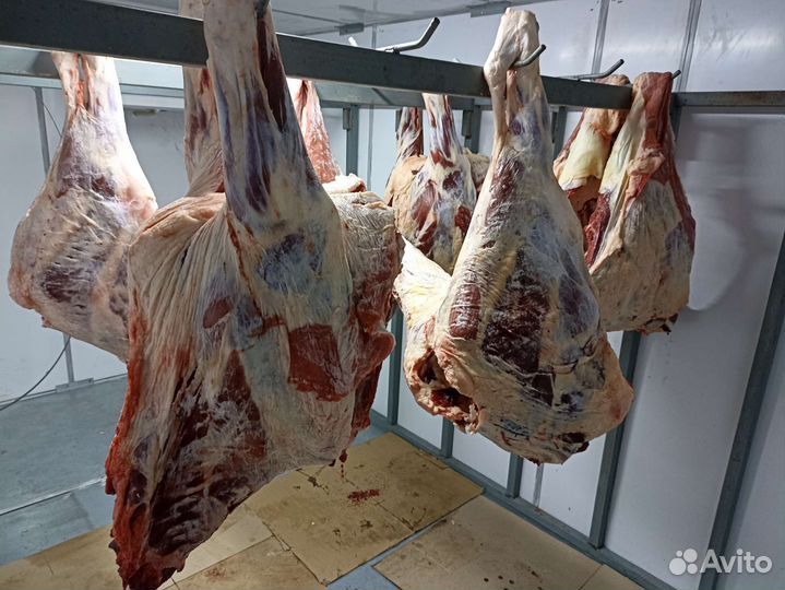 Мясо халяль