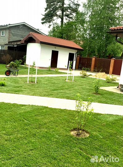 Рулонный газон 