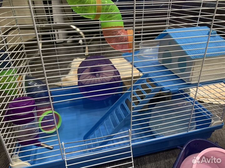 Большая клетка для хомячка джингарика крыски
