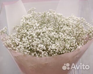 Букет из гипсофил Утренний иней