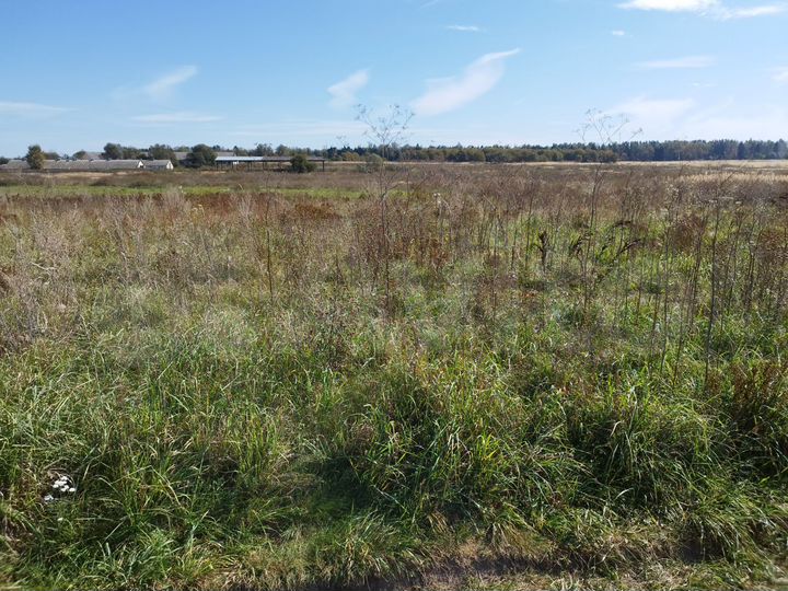 Участок 7,5 сот. (ИЖС)