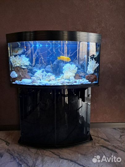 Аквариум с тумбой бу