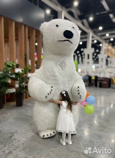 Поздравление от белого мишки