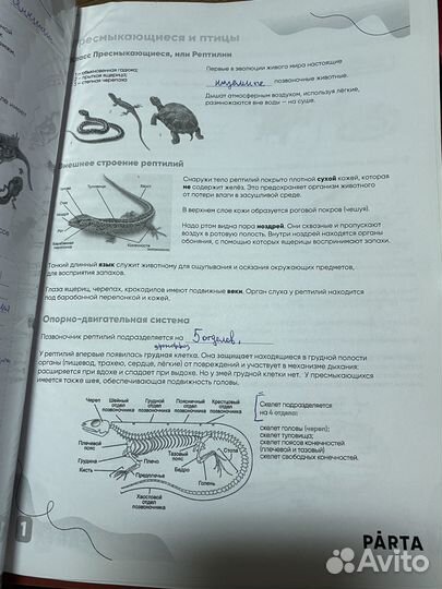 Скрипты по биологии(2 папки)