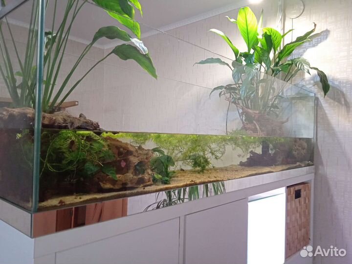 Аквариум, паллюдариум + стеллаж IKEA