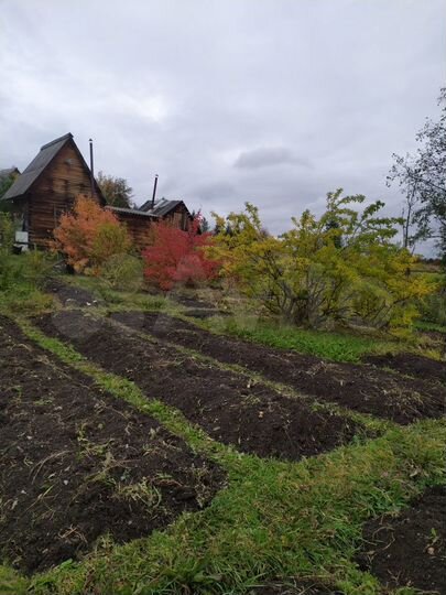 Дом 20 м² на участке 10 сот.