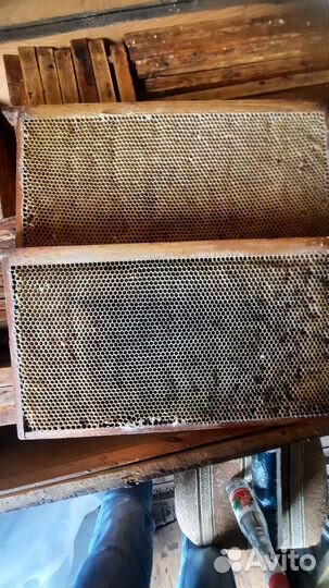 Рамки с сушью магазинная