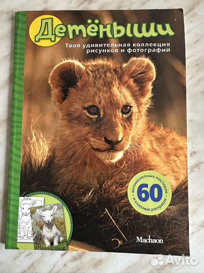 Детеныши животных. Твоя удивительная коллекция