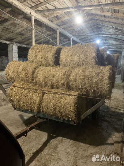 Сено луговое разнотравие,солома ячменная в тюках