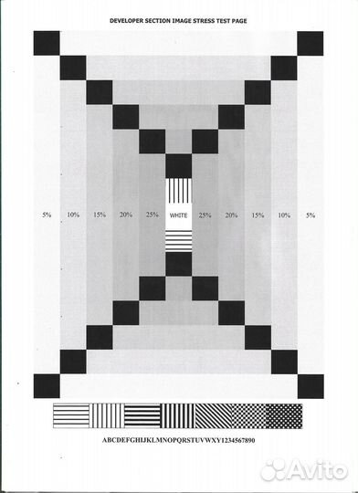 Xerox Phaser 3010