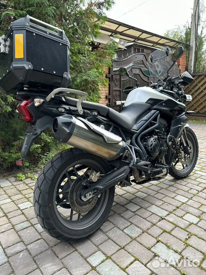 Triumph tiger 800