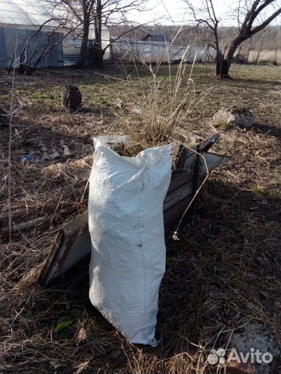 Доставка сена