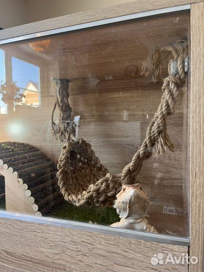 Изготовлю витрину/террариум для животных/рептилий