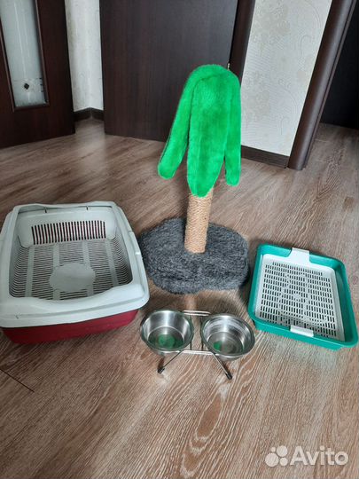 Все для котика