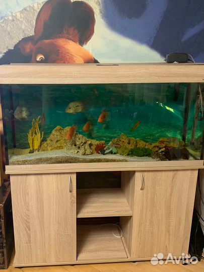 Аквариум с рыбками, фильтром, кислородом