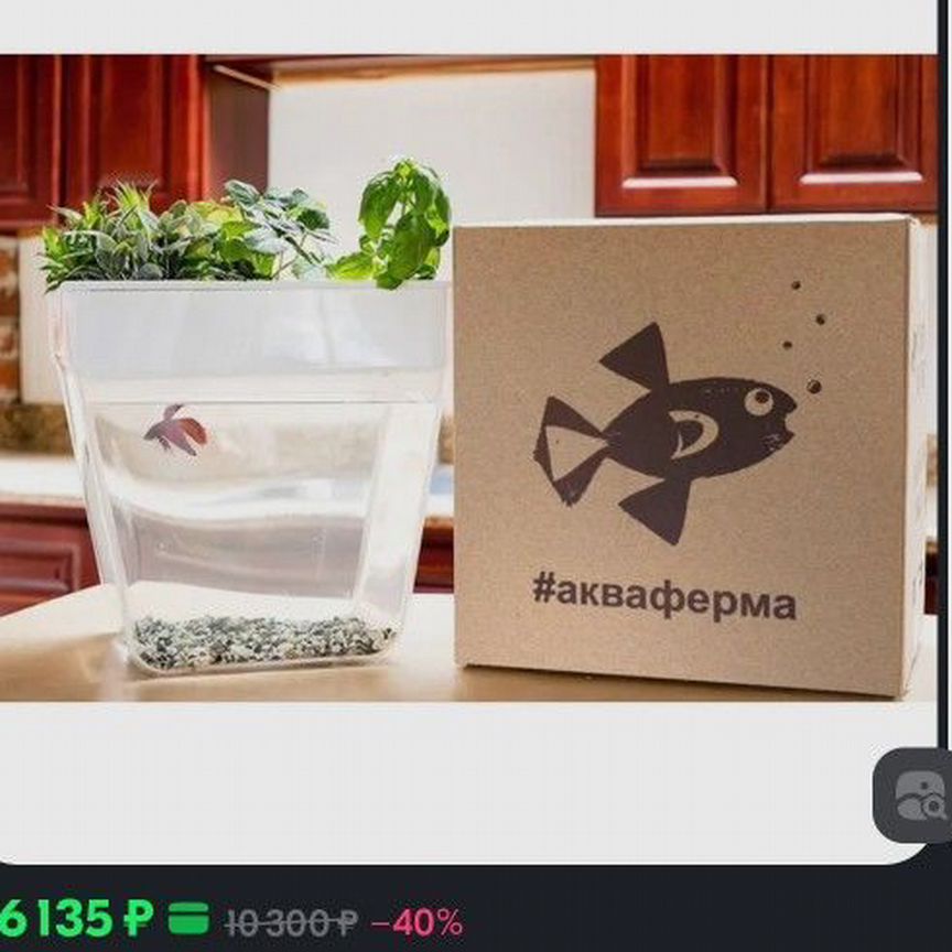 Аквариум, акваферма