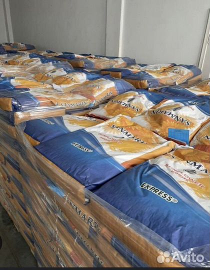 Семена (посевной материал) подсолнечника Санмарин