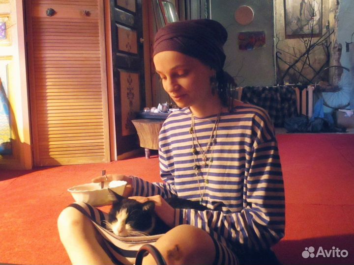 Зооняня/котоняня/Догсситер