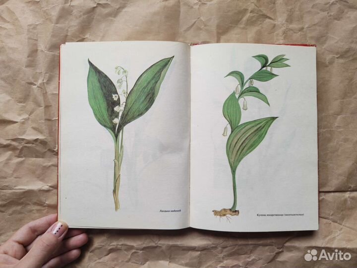 Красная книга растений и животных