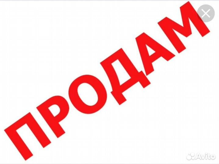 Продам Лук штутгартен Ризен, свекла, морковь