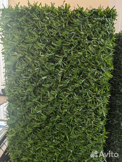 Зеленая изгородь / Калифорнийская изгородь