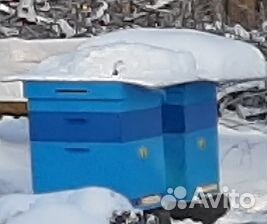 Улья, инвентарь пчеловода, мини-пасека